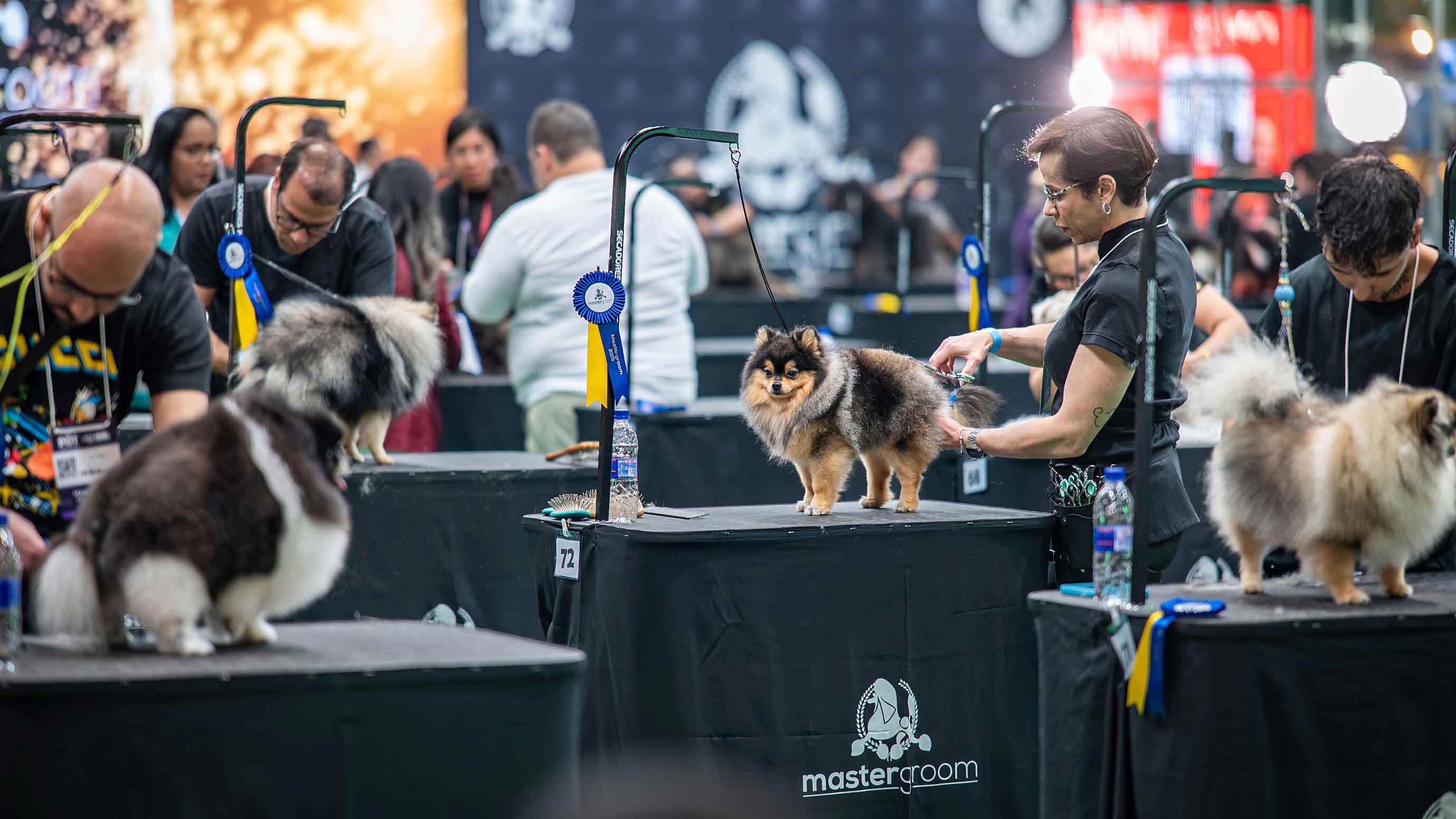 Dogs are being groomed at PET South America