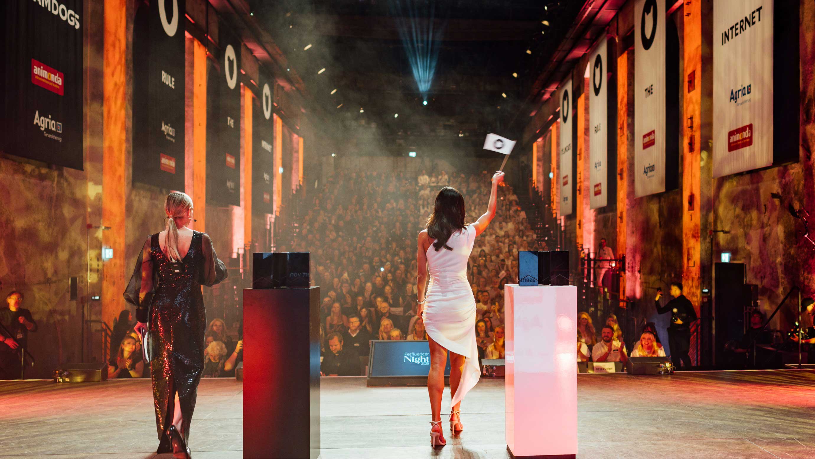 Team Cat vs. Team Dog