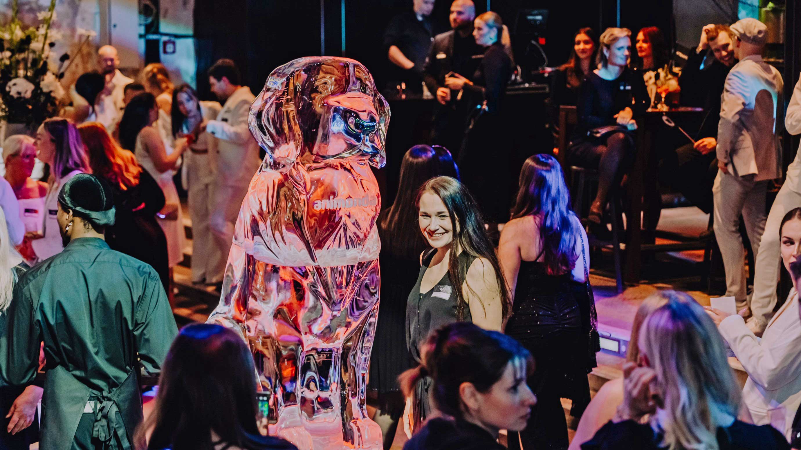 The dress code reveals the allegiance: Team Cat wears white, Team Dog wears black.